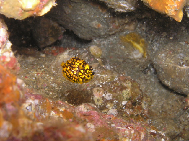 img0003.jpg