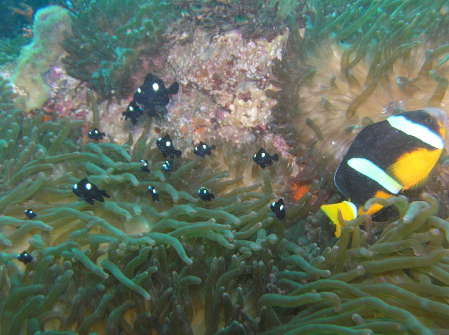 img0004.jpg