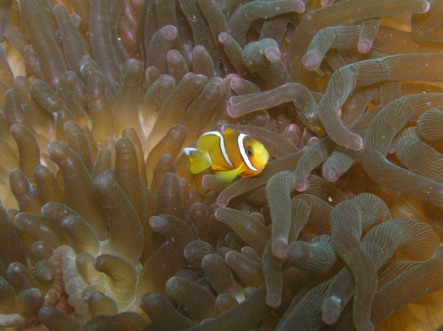 img0005.jpg