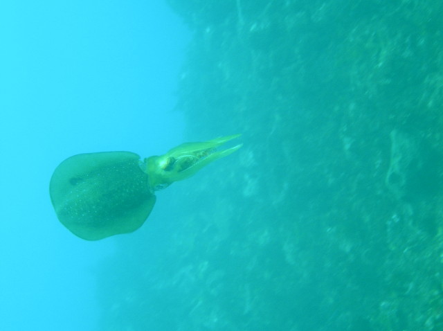 img0006.jpg