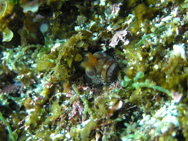 img0011.jpg