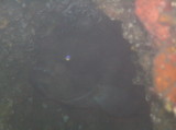 img0002.jpg