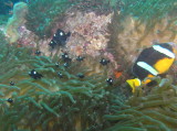 img0004.jpg
