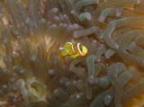 img0005.jpg