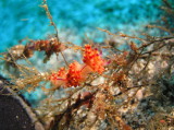 img0010.jpg