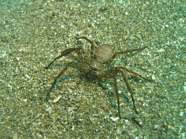 img0001.jpg