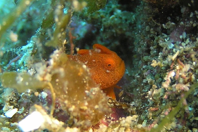 img0005.jpg