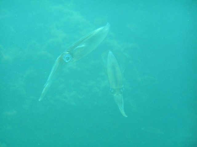 img0006.jpg