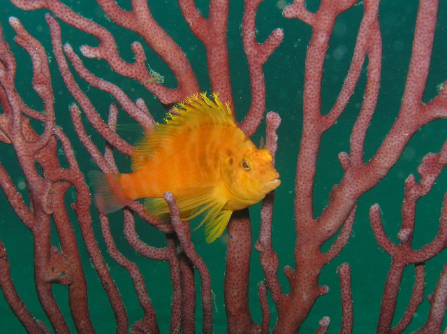 img0010.jpg