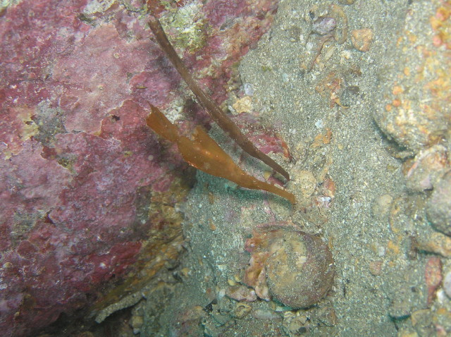 img0012.jpg