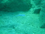 img0000.jpg