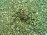 img0001.jpg
