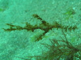 img0003.jpg