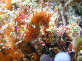 img0008.jpg