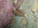 img0012.jpg