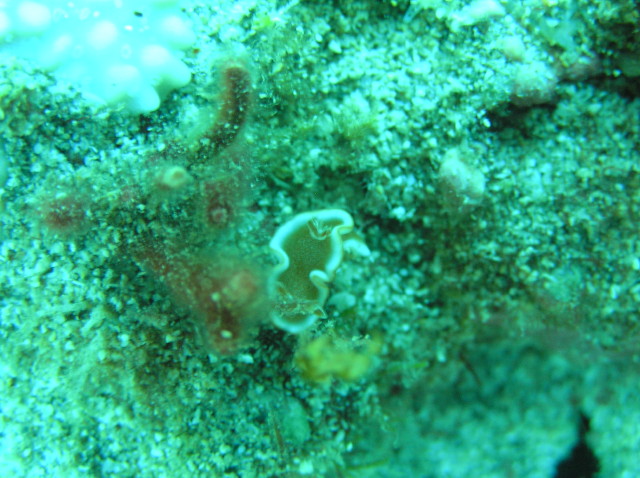 img0015.jpg