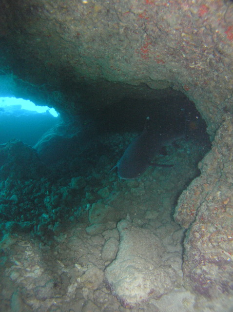 img0019.jpg