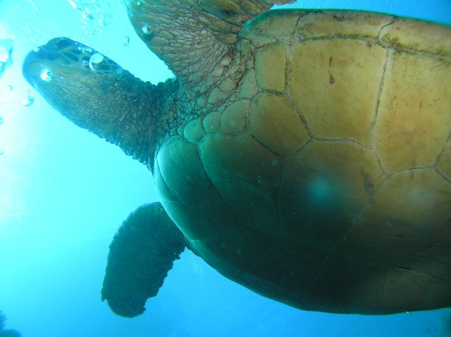 img0020.jpg