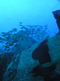 img0001.jpg