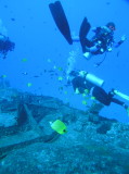 img0002.jpg