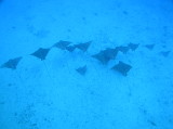 img0008.jpg
