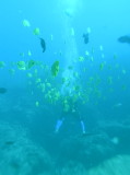 img0012.jpg