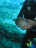 img0013.jpg