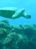 img0014.jpg