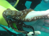 img0016.jpg