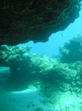 img0018.jpg