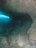 img0019.jpg
