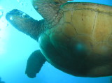 img0020.jpg