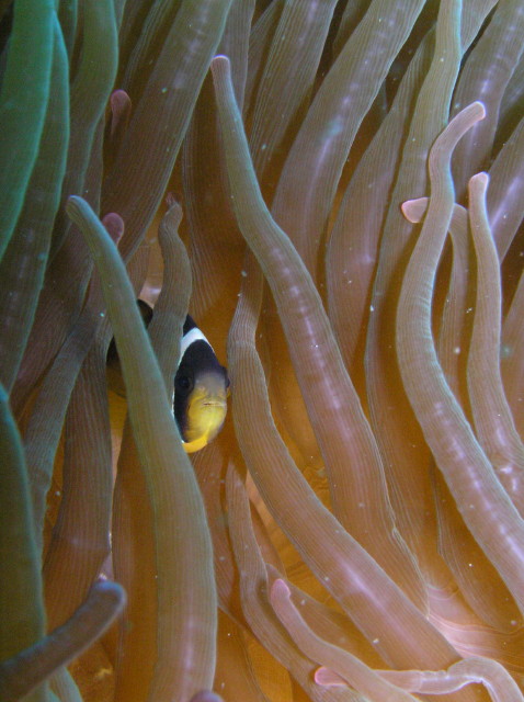 img0005.jpg