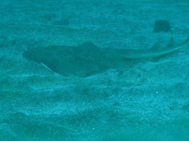 img0007.jpg