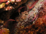 img0001.jpg