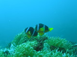 img0004.jpg