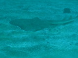 img0007.jpg