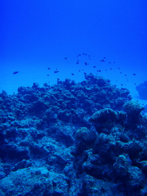 img0000.jpg