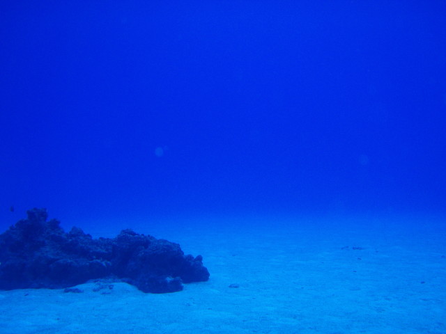 img0001.jpg