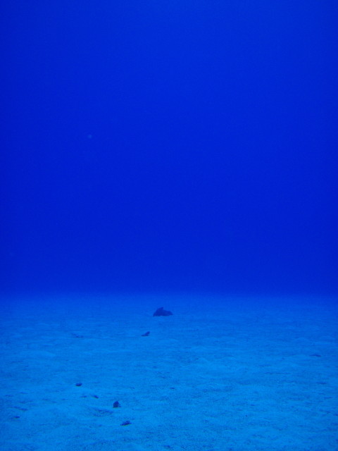 img0002.jpg