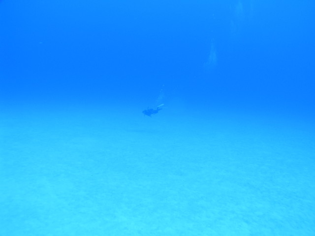 img0004.jpg