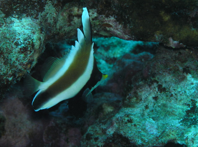 img0005.jpg