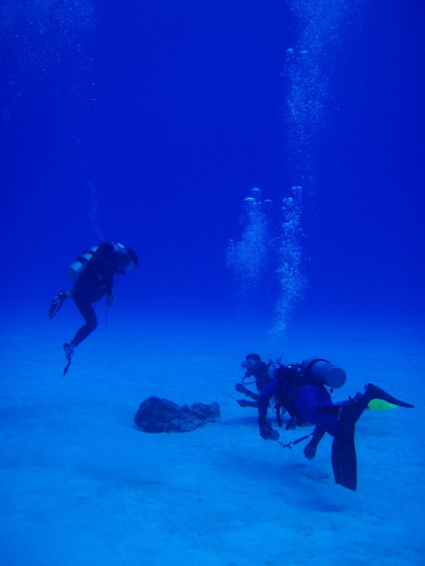 img0008.jpg