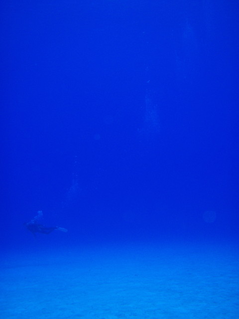 img0009.jpg