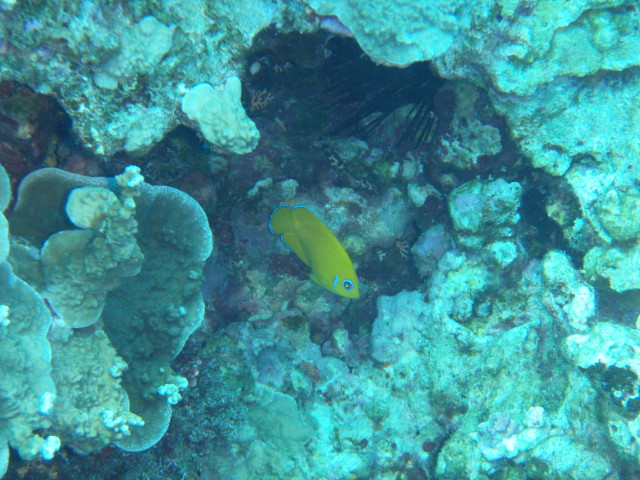 img0010.jpg