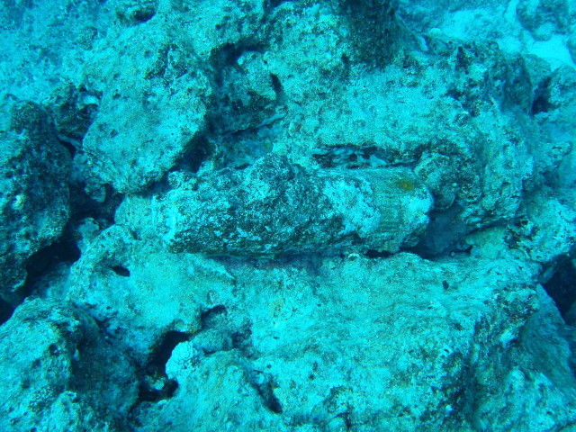 img0013.jpg