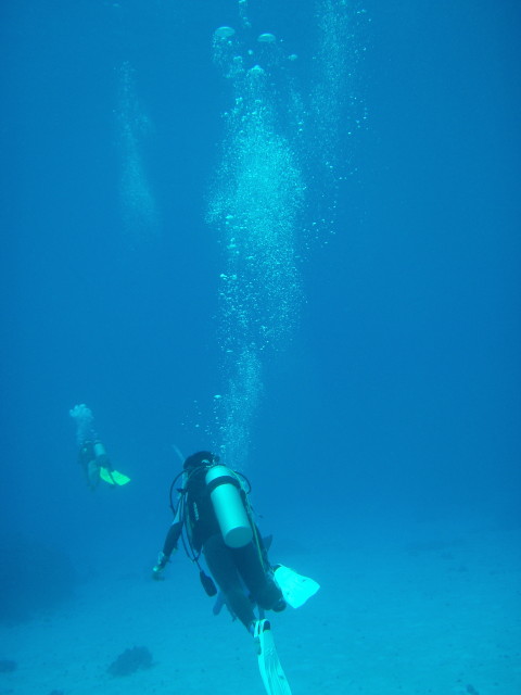 img0017.jpg