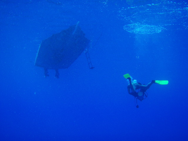 img0019.jpg
