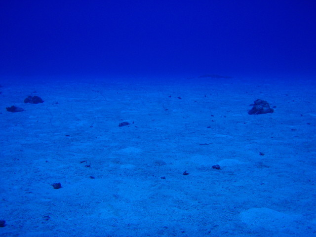 img0023.jpg