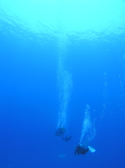 img0029.jpg